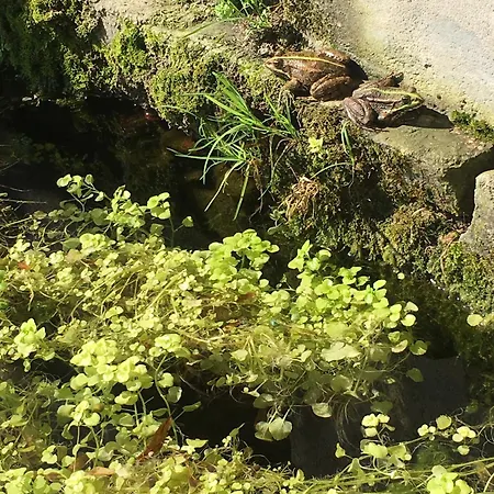 Loft Independant En Bord De Tarn