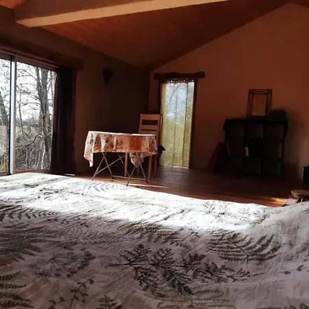 Loft Independant En Bord De Tarn アパート *